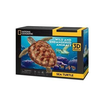 Puzzle 3D Żółw Wodny